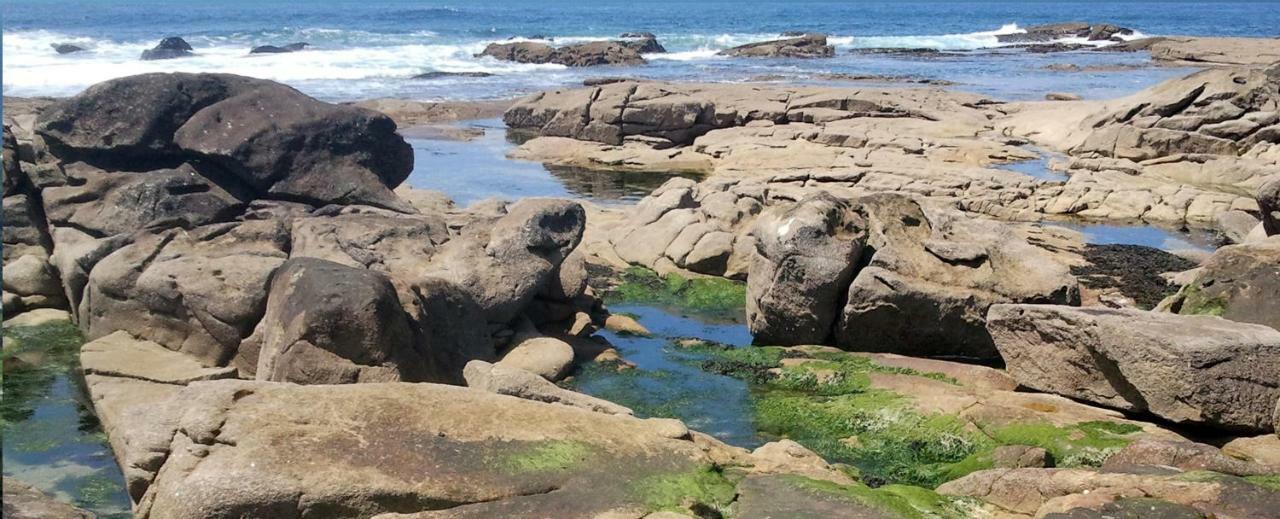 Varandas da Sandia Vila Praia de Âncora Exterior foto